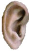 OHR-links - TUNES of boKens
