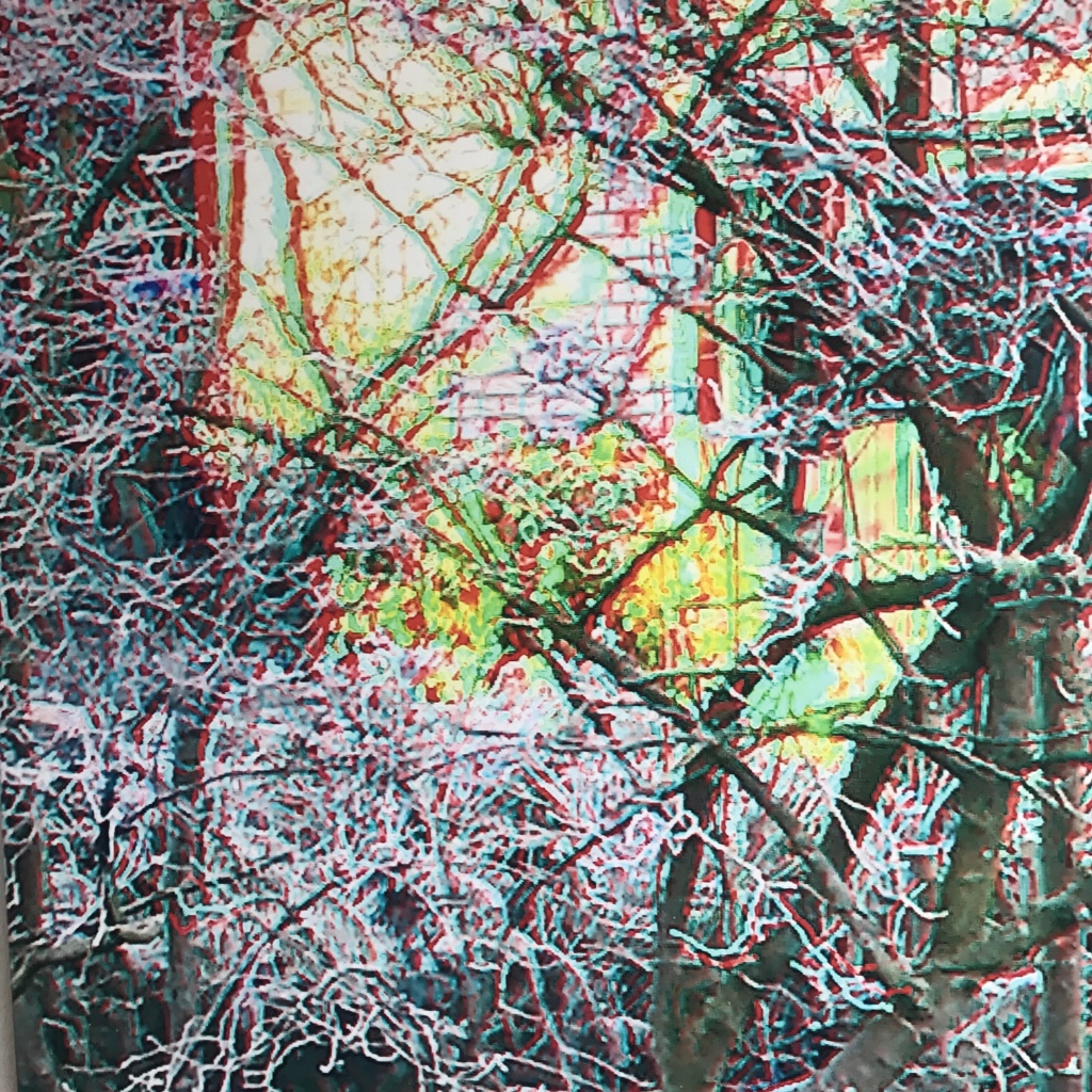 Anaglyphe 01-2016: "HAUS HINTER DORNENHECKE" ©rbockberlin2016, canvas, 100 x 100 /  60 x 60 cm