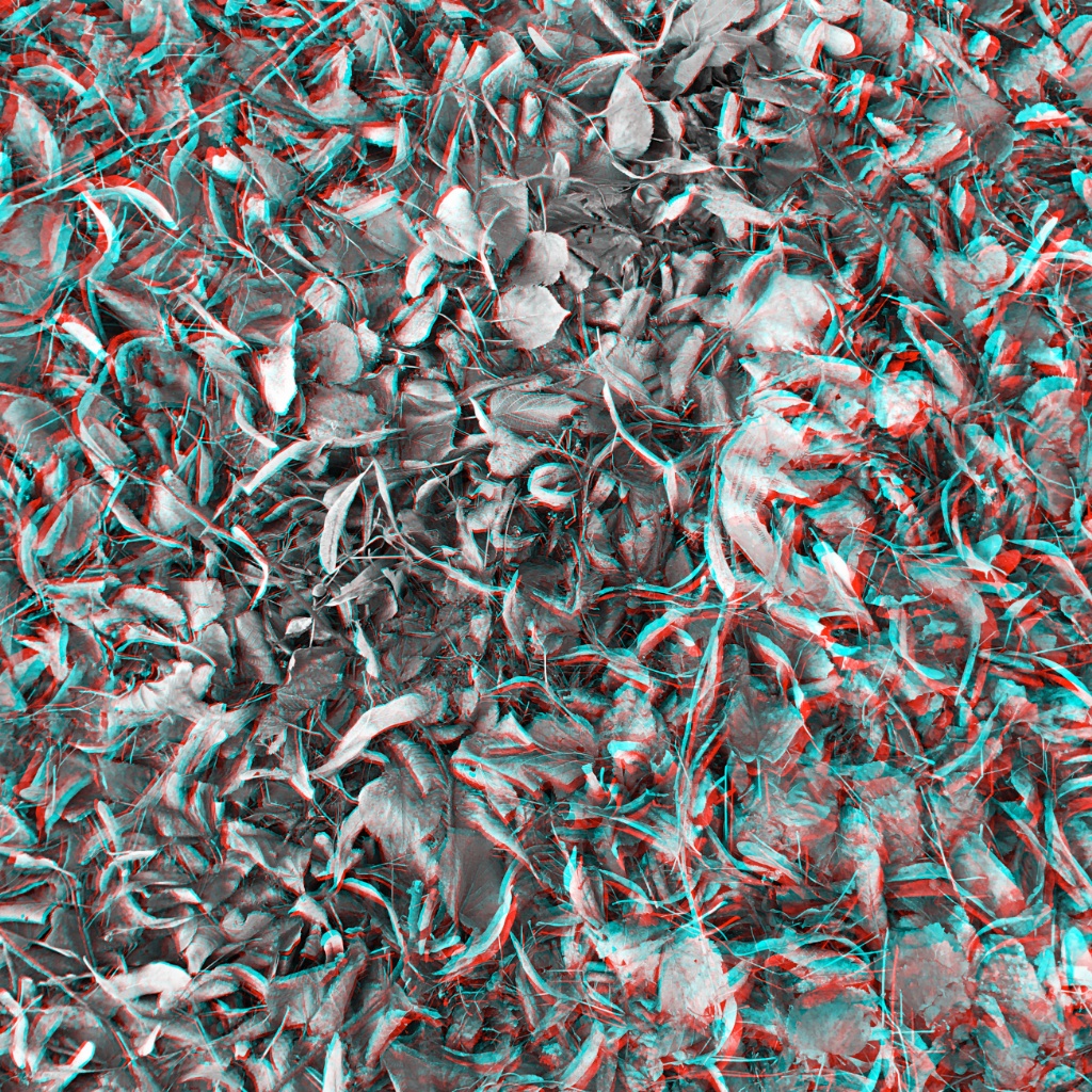 Grey Anaglyphe 07-2017: "BLÄTTERWIRRNIS"