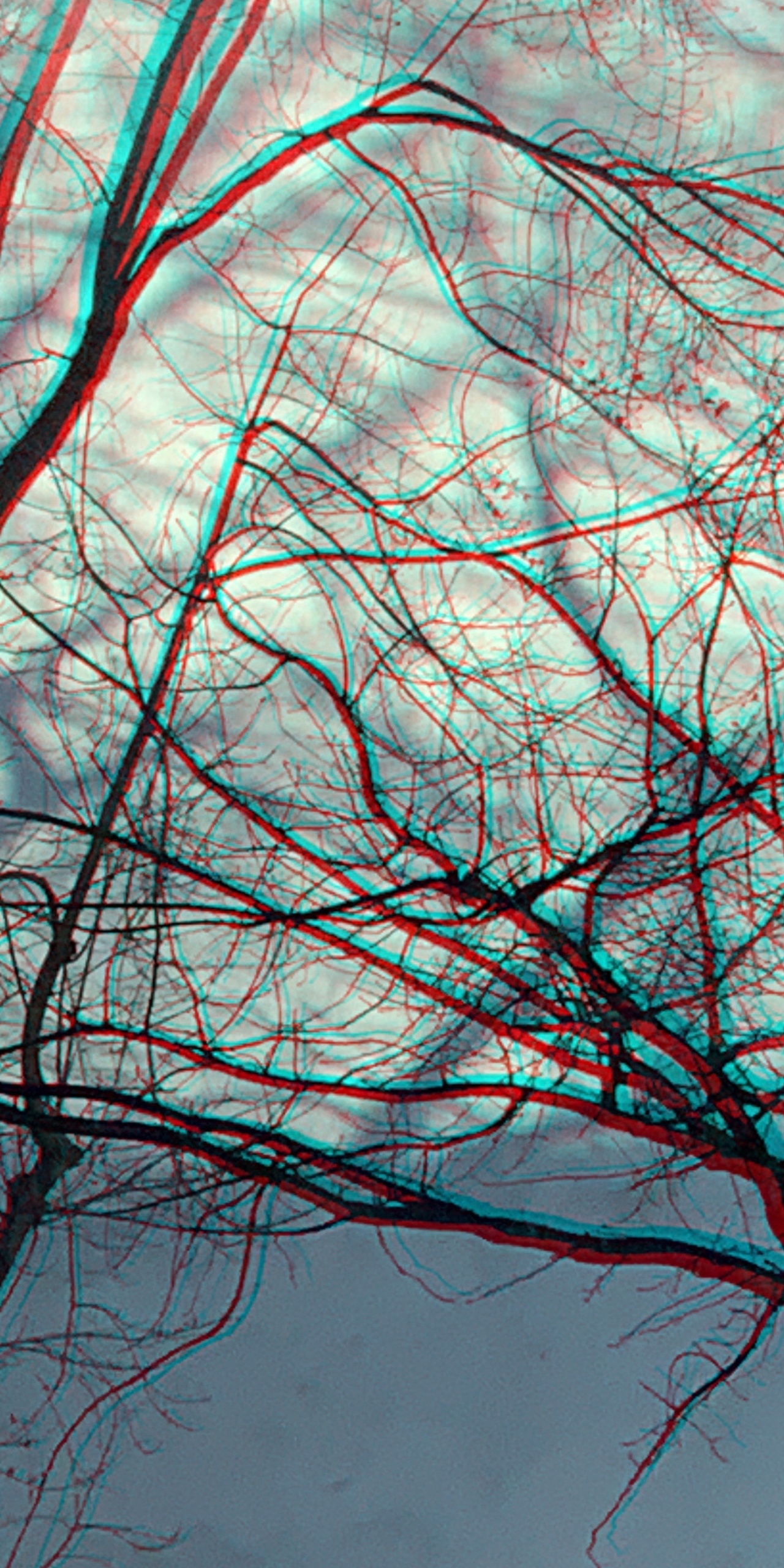 Anaglyphe 02-2020-R:  "FILIGRANER BAUMSCHATTEN, links" ©rbockberlin2020, canvas, 120x60 cm