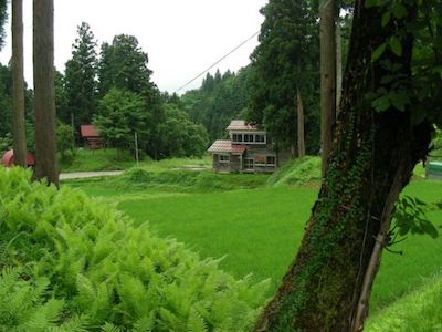 2007-01 »ECHIGO-HOUSE IN THE GREEN« 
