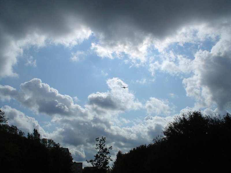 2008-02 »ROSINENBOMBER VOR REGENWOLKEN« 