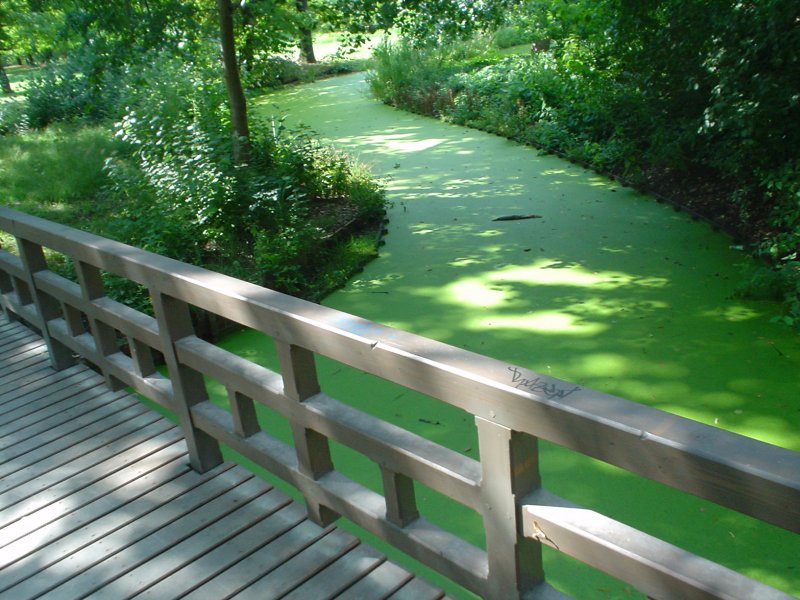 2008-07 »BRIDGE OVER GREEN« 