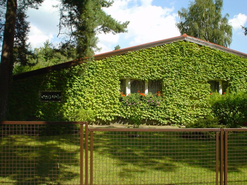 2009-12 »GRÜNES HAUS« 