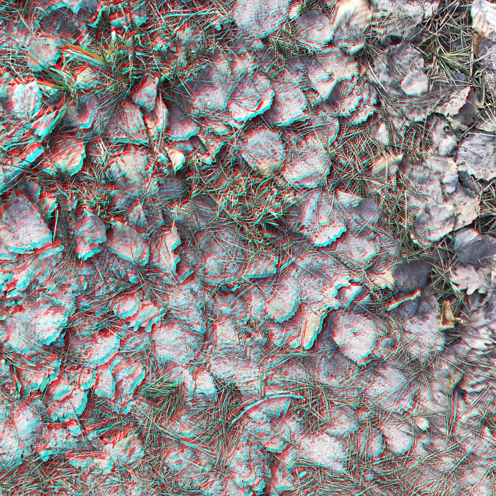 2018-04 - RC Anaglyphe »LEHMBLÄTTER 5«