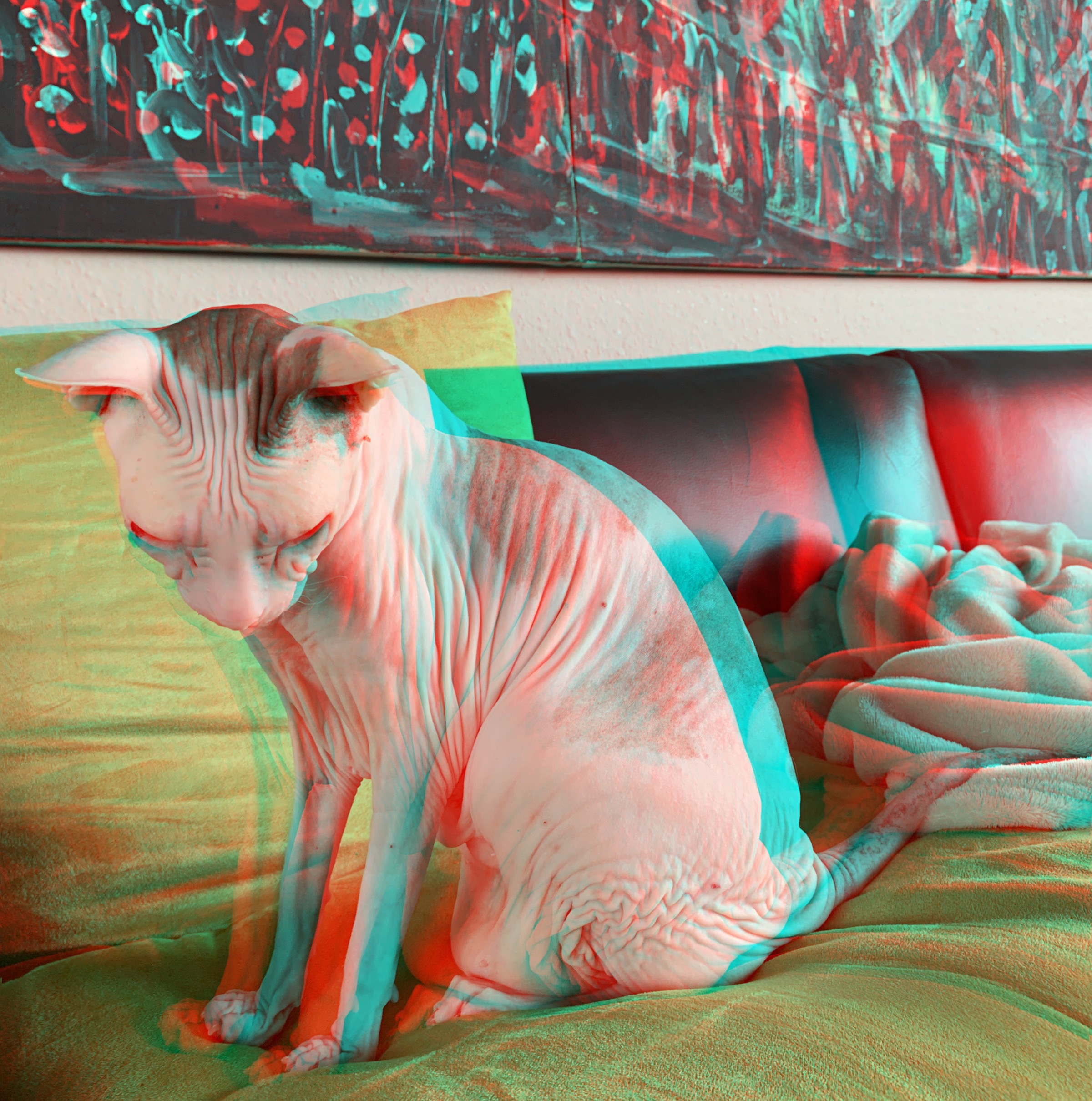 2019-02 - RC Anaglyphe »NACKTKATZE«