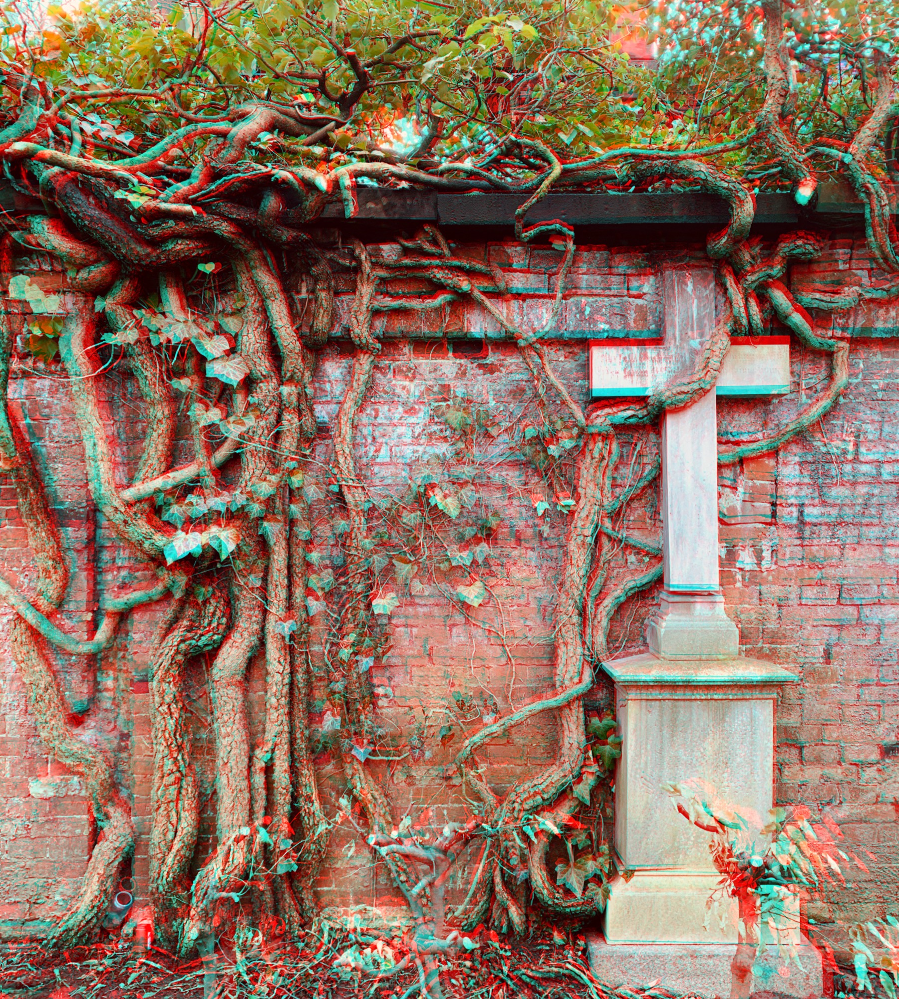 RC Anaglyphe 2020-12 »FRIEDHOFSMAUER - EFEU - KREUZ« - iPhone XS - (c)rbockberlin2020