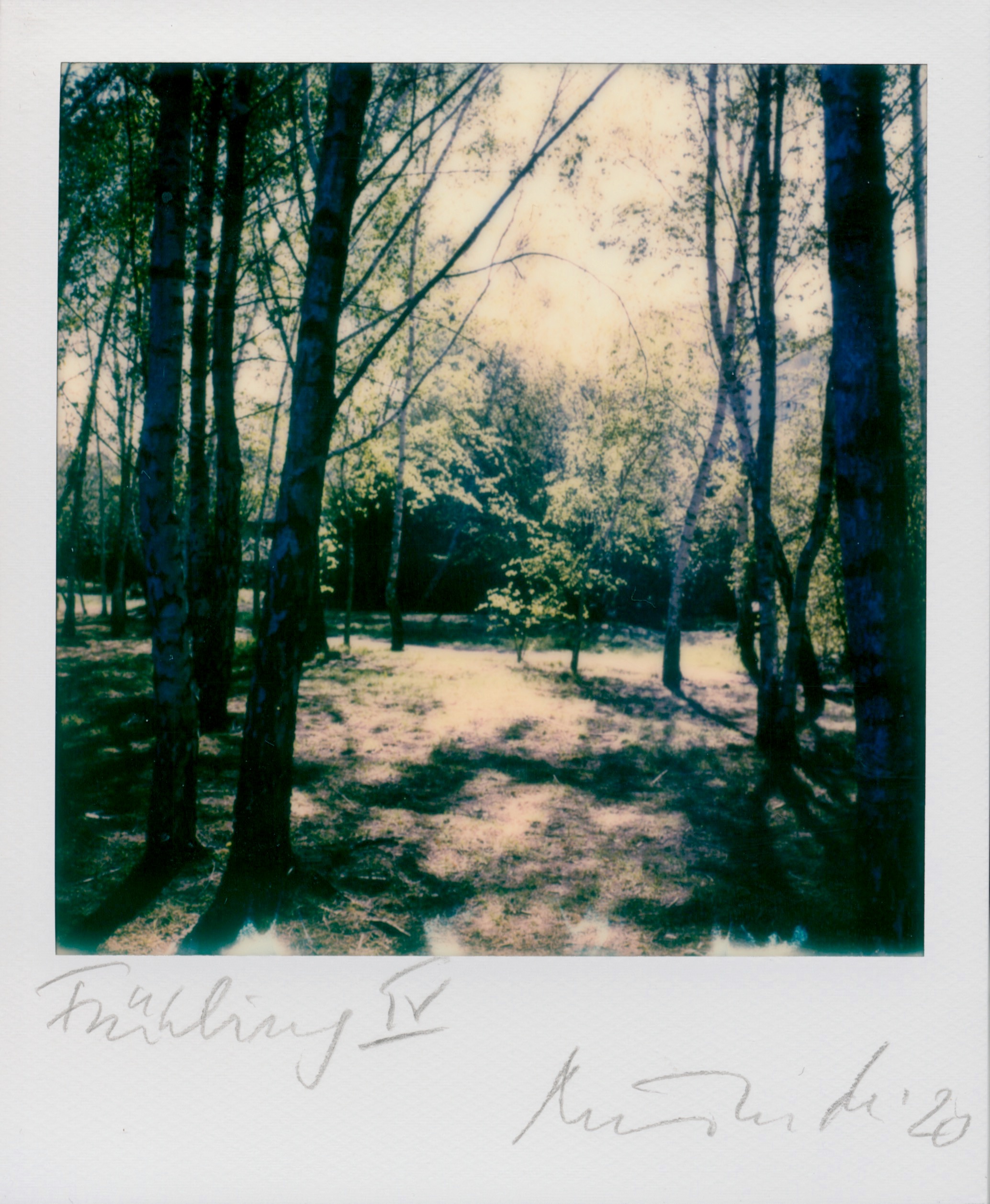 Polaroid 2020-34 »FRÜHLING IV« - SX70 Polaroid Original - (c)rbockberlin2020