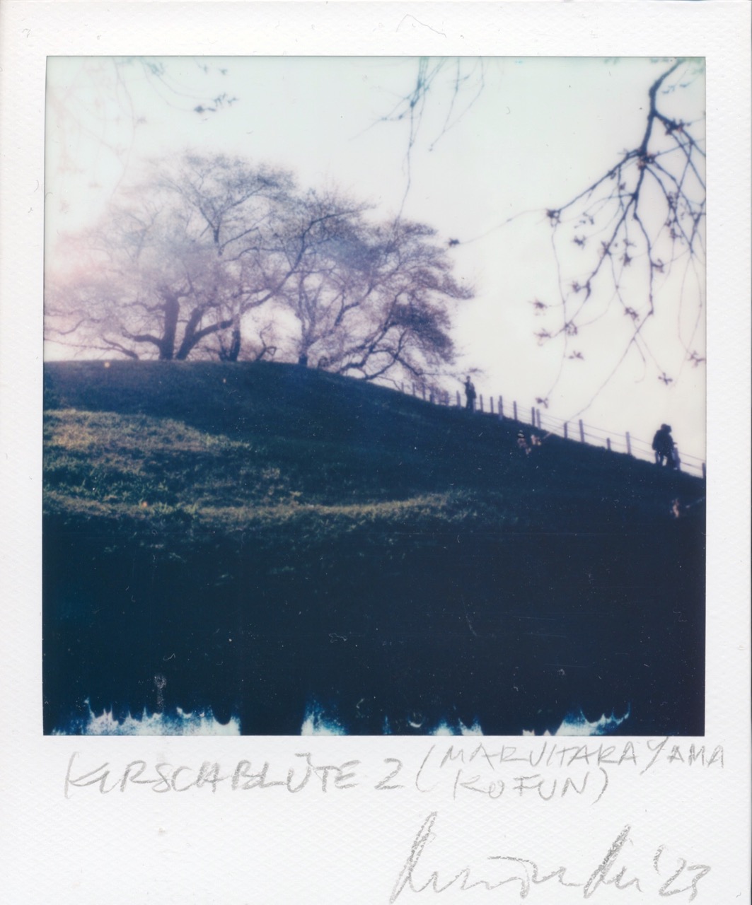 2023 - »KOFUN-KIRSCHBLÜTE« - SX70/Polaroid Originals - (c)rbockberlin2023