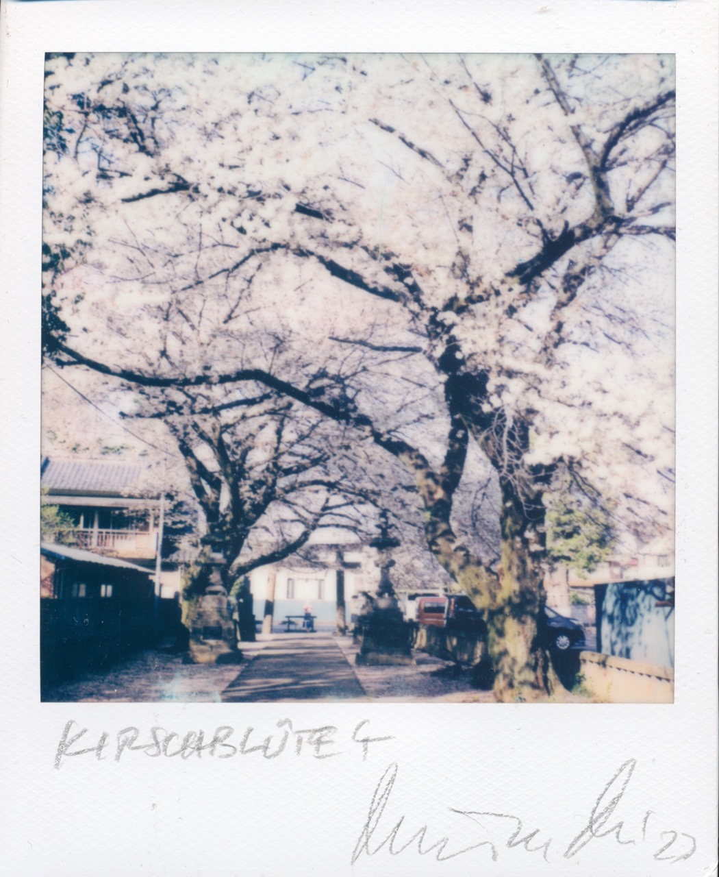 2023 - »KO JINJA-KIRSCHBLÜTE« - SX70/Polaroid Originals - (c)rbockberlin2023