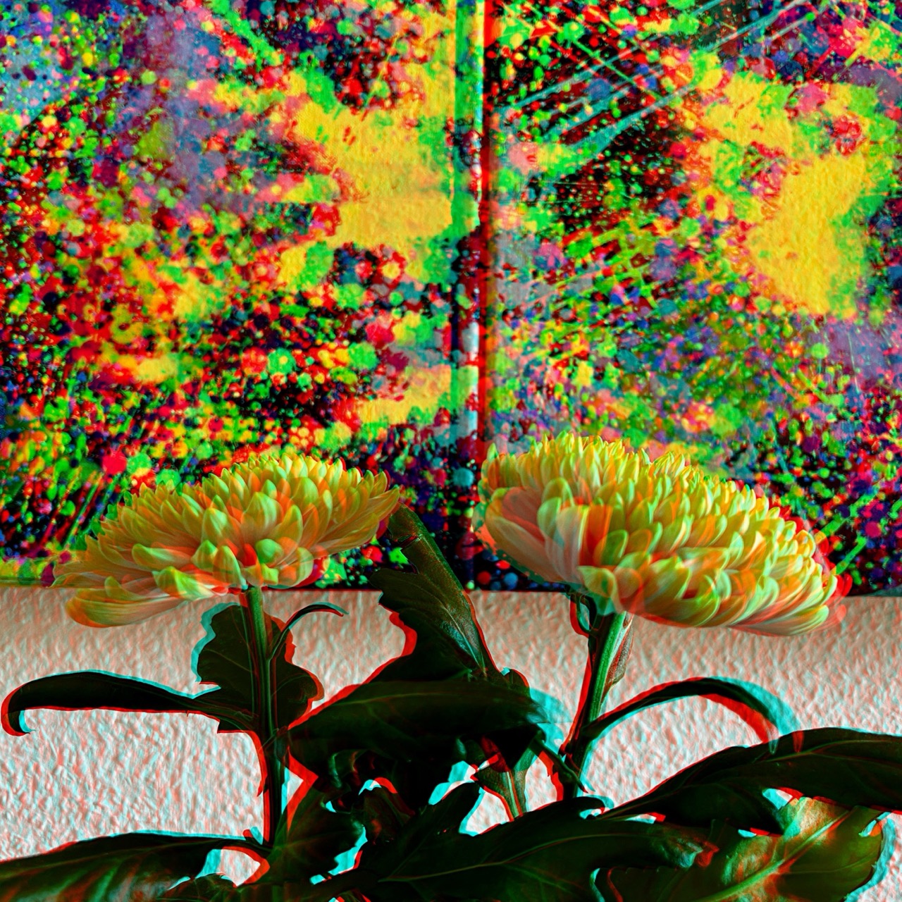 RC Anaglyphe 2025-01 »CHRYSANTHEMEN VOR RIEMER«
