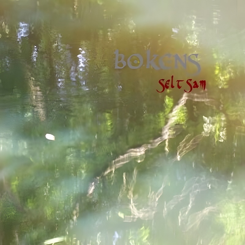 Cover *SELTSAM*