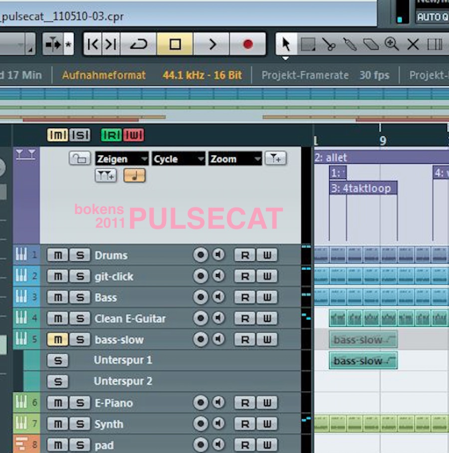 Cover *PULSECAT*