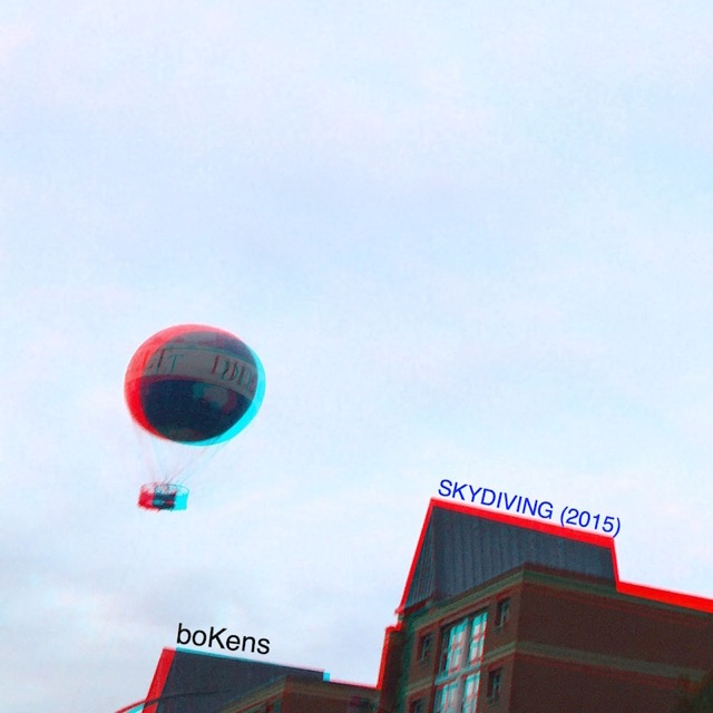 Cover *SKYDIVING*