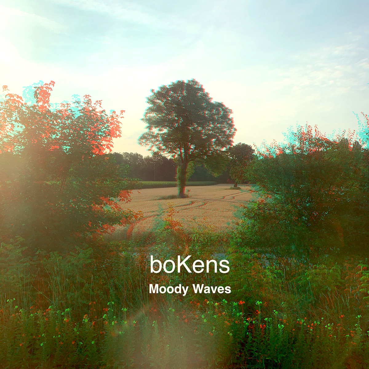 Cover *MOODY WAVES*