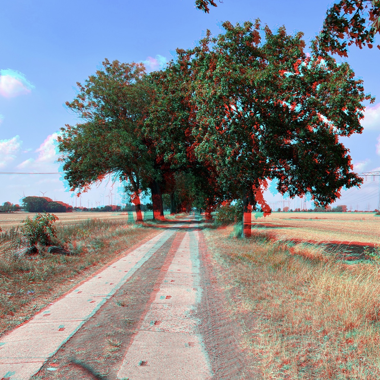 RC Anaglyphe 2022-Xx »LANDSTRAßE IN BRANDENBURG« 