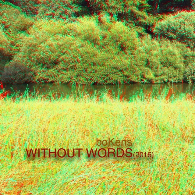 Cover *WITHOUT WORDS*